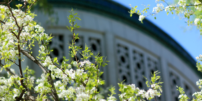 恒峰g22-官网入口--天天有惊喜