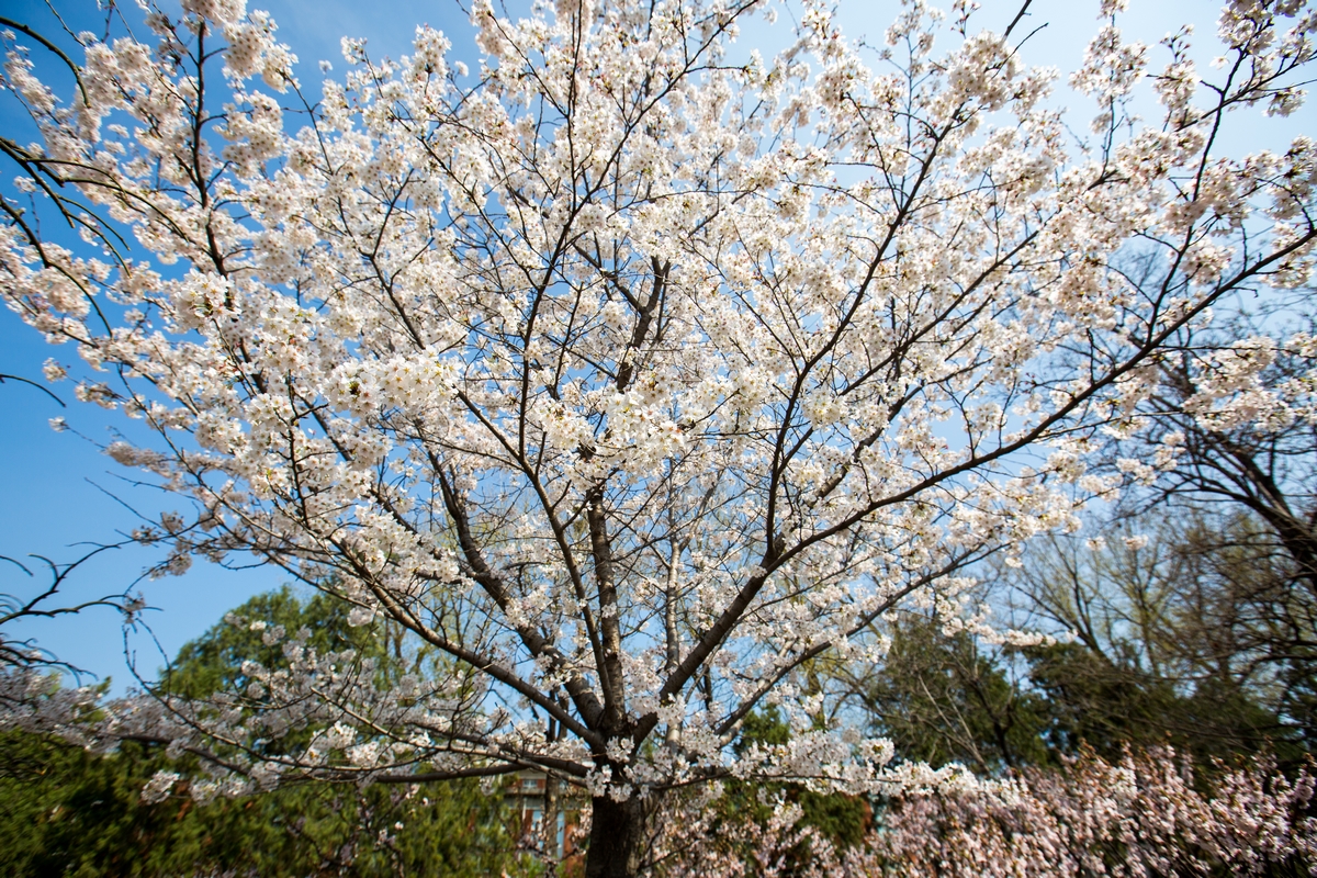 恒峰g22-官网入口--天天有惊喜