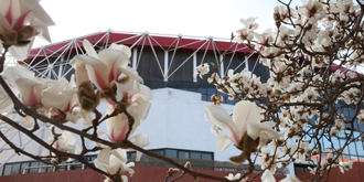 恒峰g22-官网入口--天天有惊喜