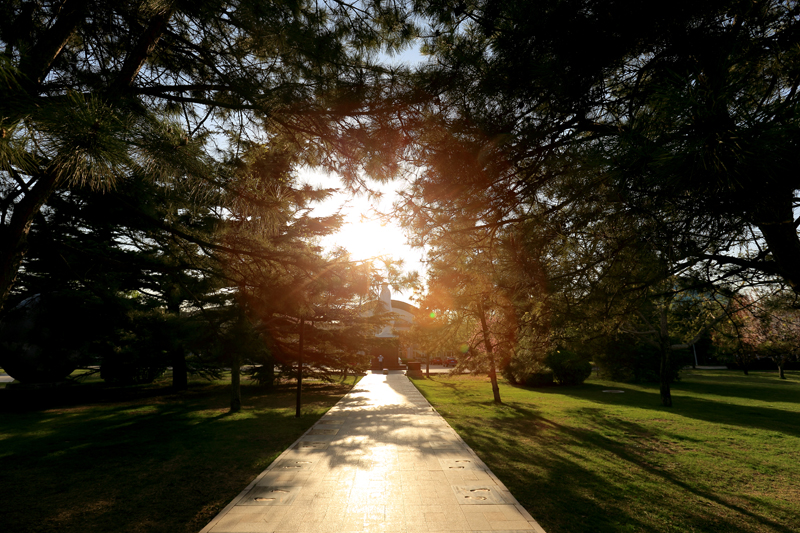 恒峰g22-官网入口--天天有惊喜