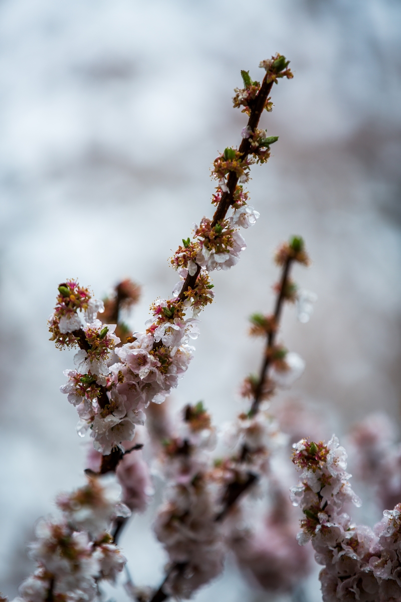 恒峰g22-官网入口--天天有惊喜
