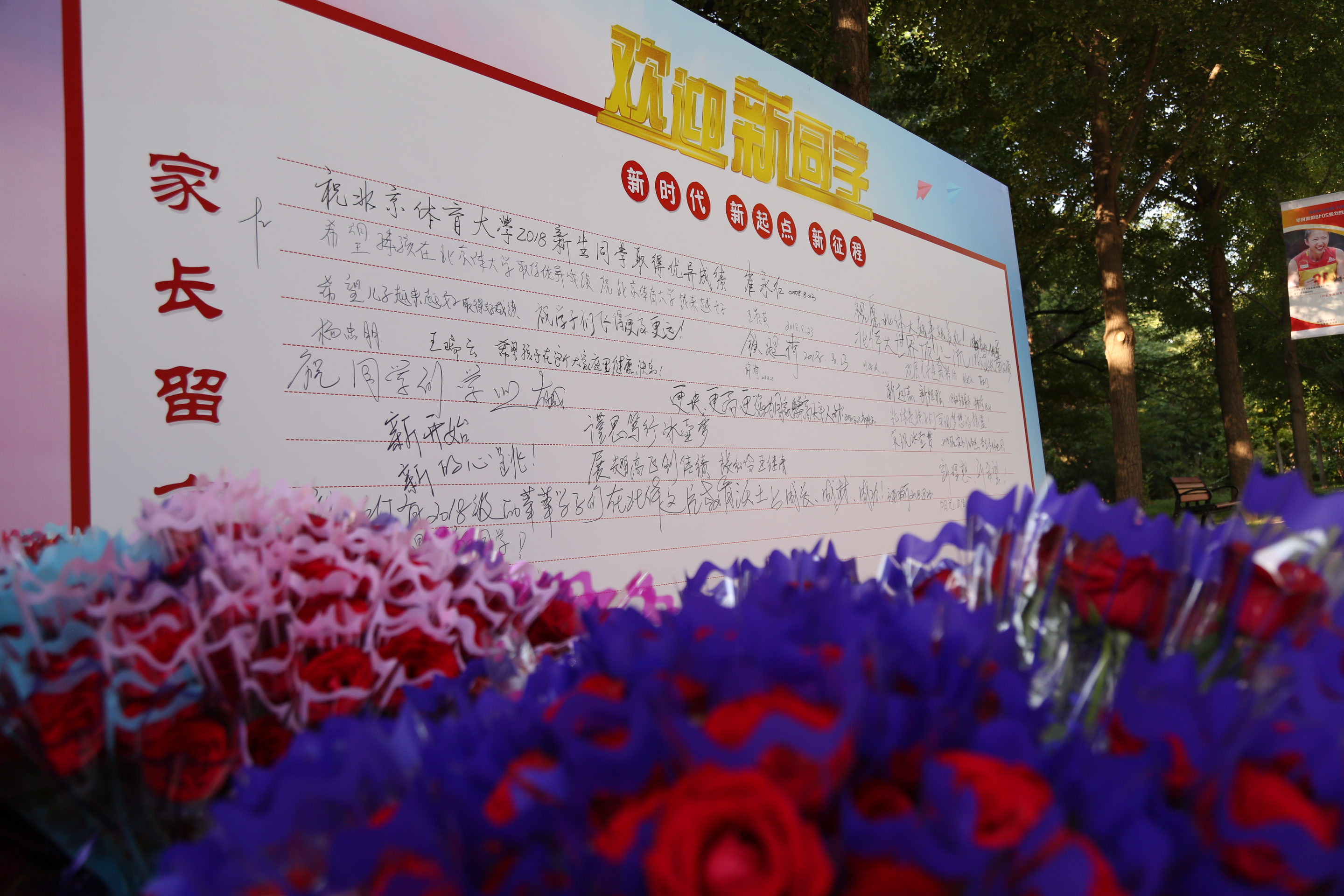 恒峰g22-官网入口--天天有惊喜