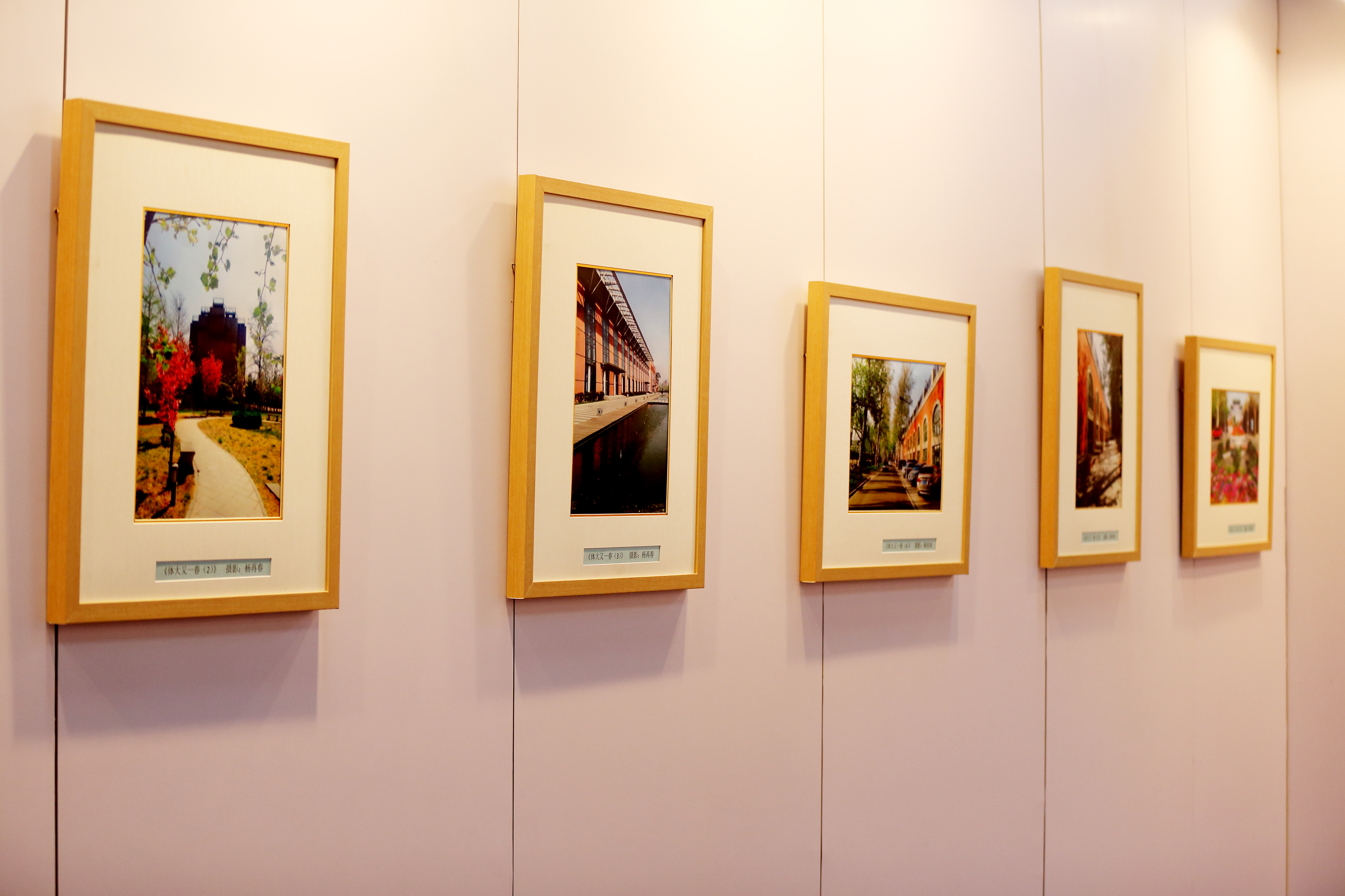 恒峰g22-官网入口--天天有惊喜