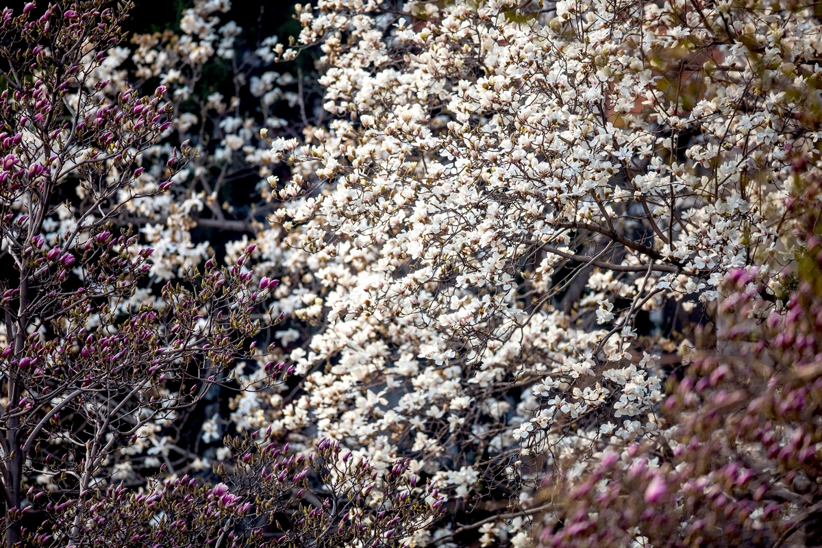 恒峰g22-官网入口--天天有惊喜