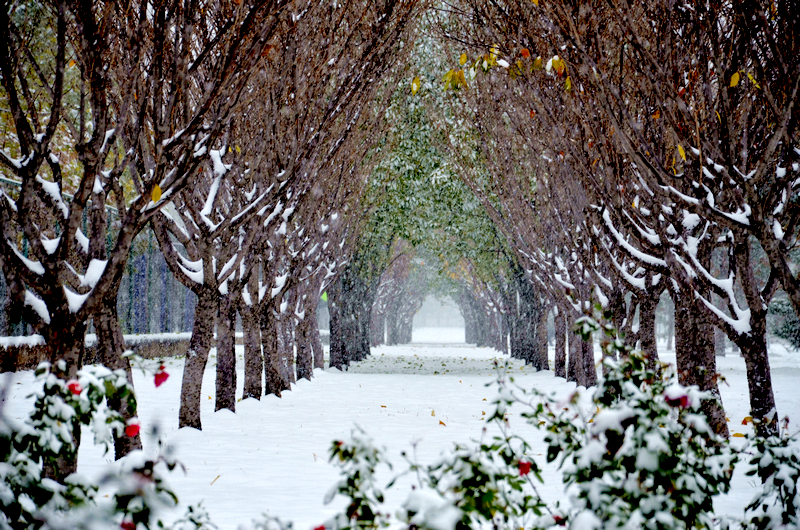 恒峰g22-官网入口--天天有惊喜