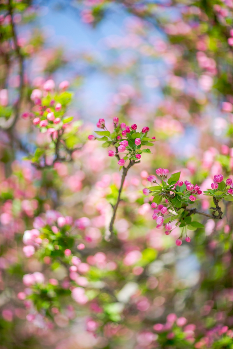 恒峰g22-官网入口--天天有惊喜