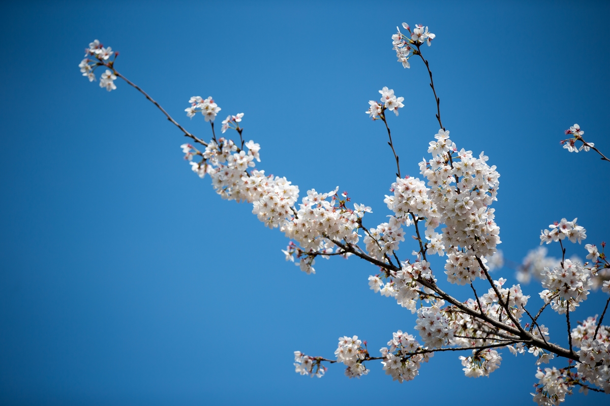 恒峰g22-官网入口--天天有惊喜