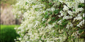 恒峰g22-官网入口--天天有惊喜