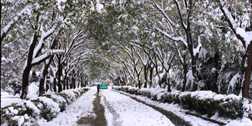 恒峰g22-官网入口--天天有惊喜