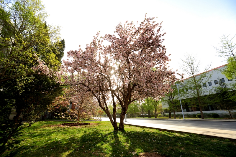 恒峰g22-官网入口--天天有惊喜