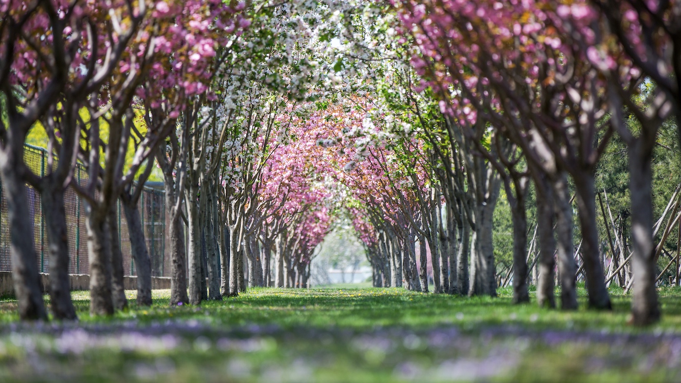 恒峰g22-官网入口--天天有惊喜