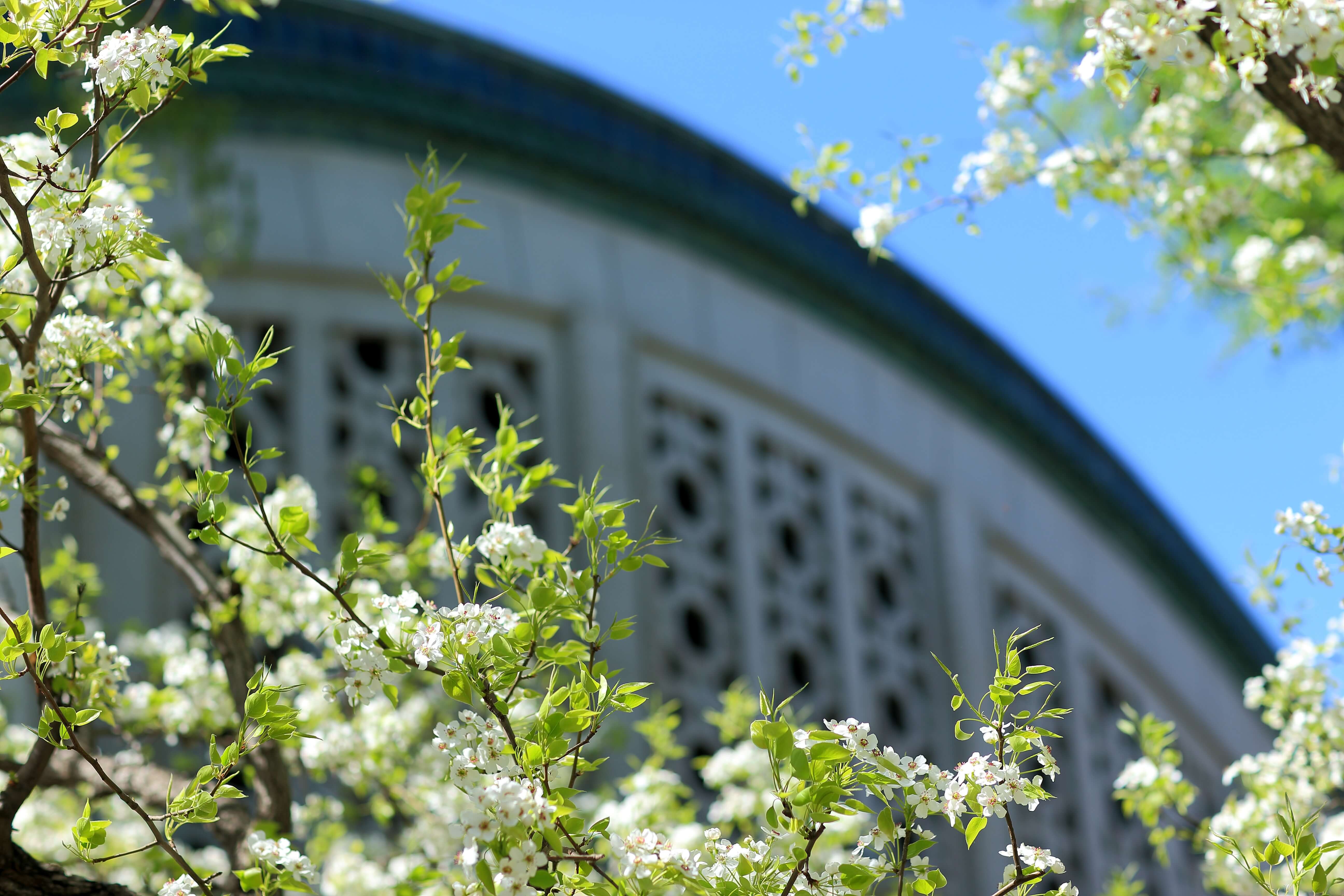 恒峰g22-官网入口--天天有惊喜