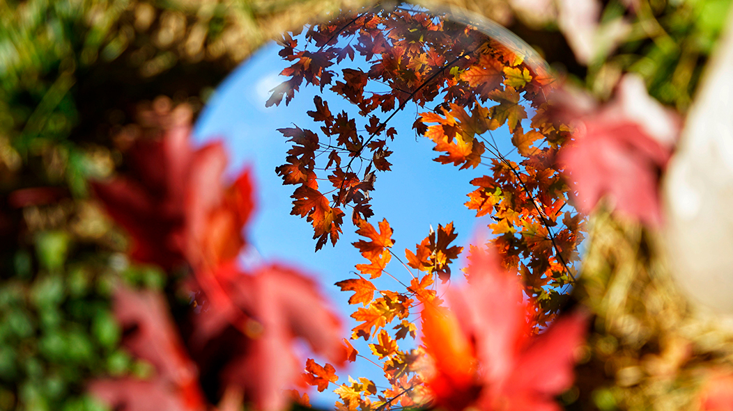 恒峰g22-官网入口--天天有惊喜