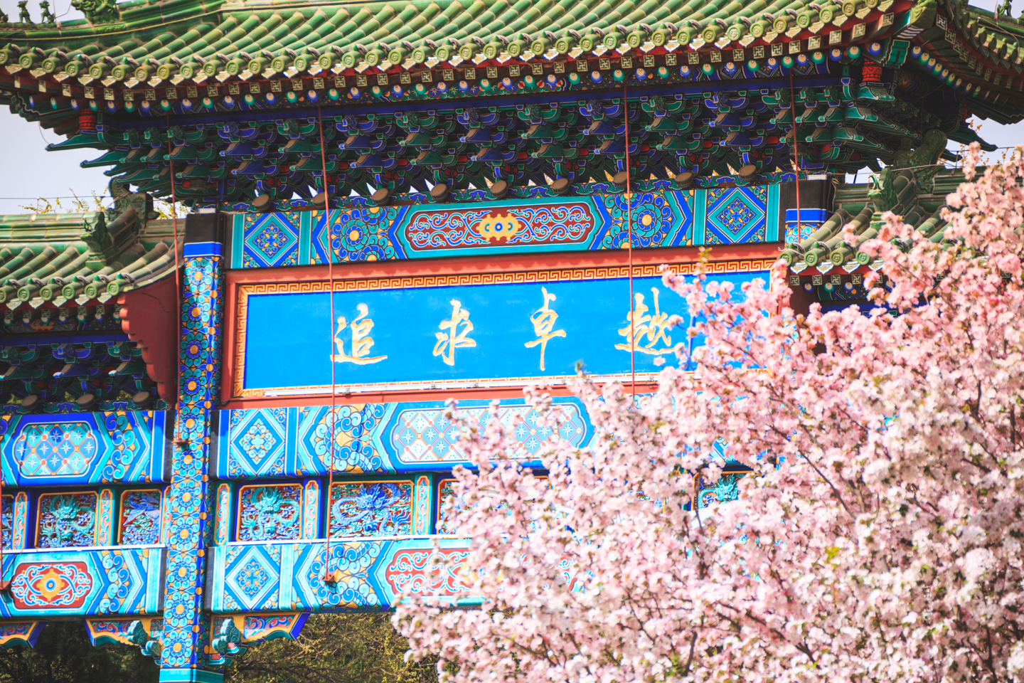 恒峰g22-官网入口--天天有惊喜