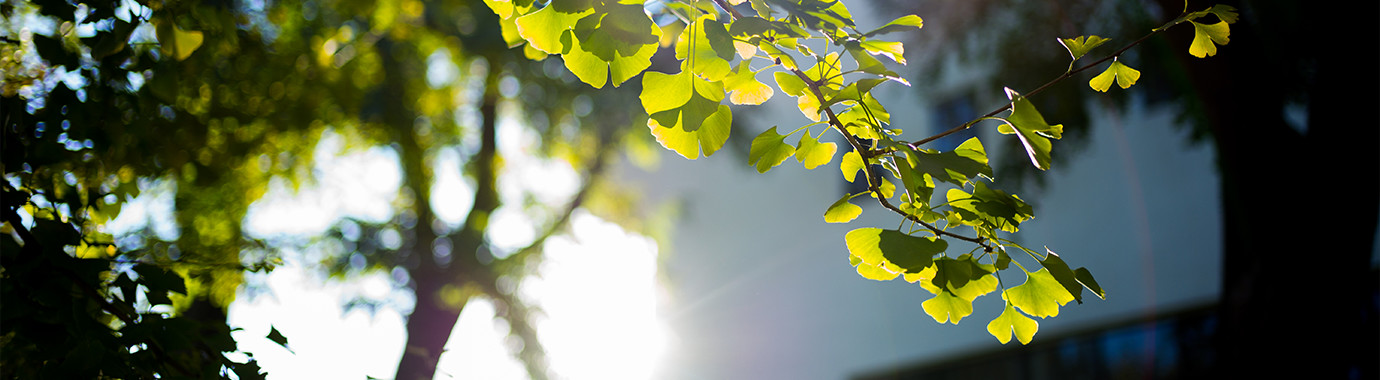 恒峰g22-官网入口--天天有惊喜